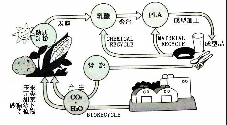 可生物降解環(huán)保塑料可以回收再利用嗎？(圖4)