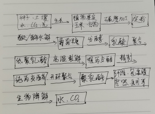 生物降解袋中的PLA是如何制得的？(圖1)